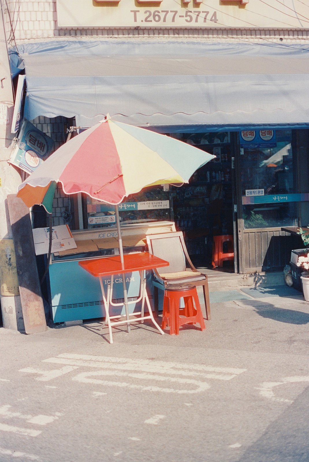 Cinestill 800T 로 찍은 사진. 촬영 노애경