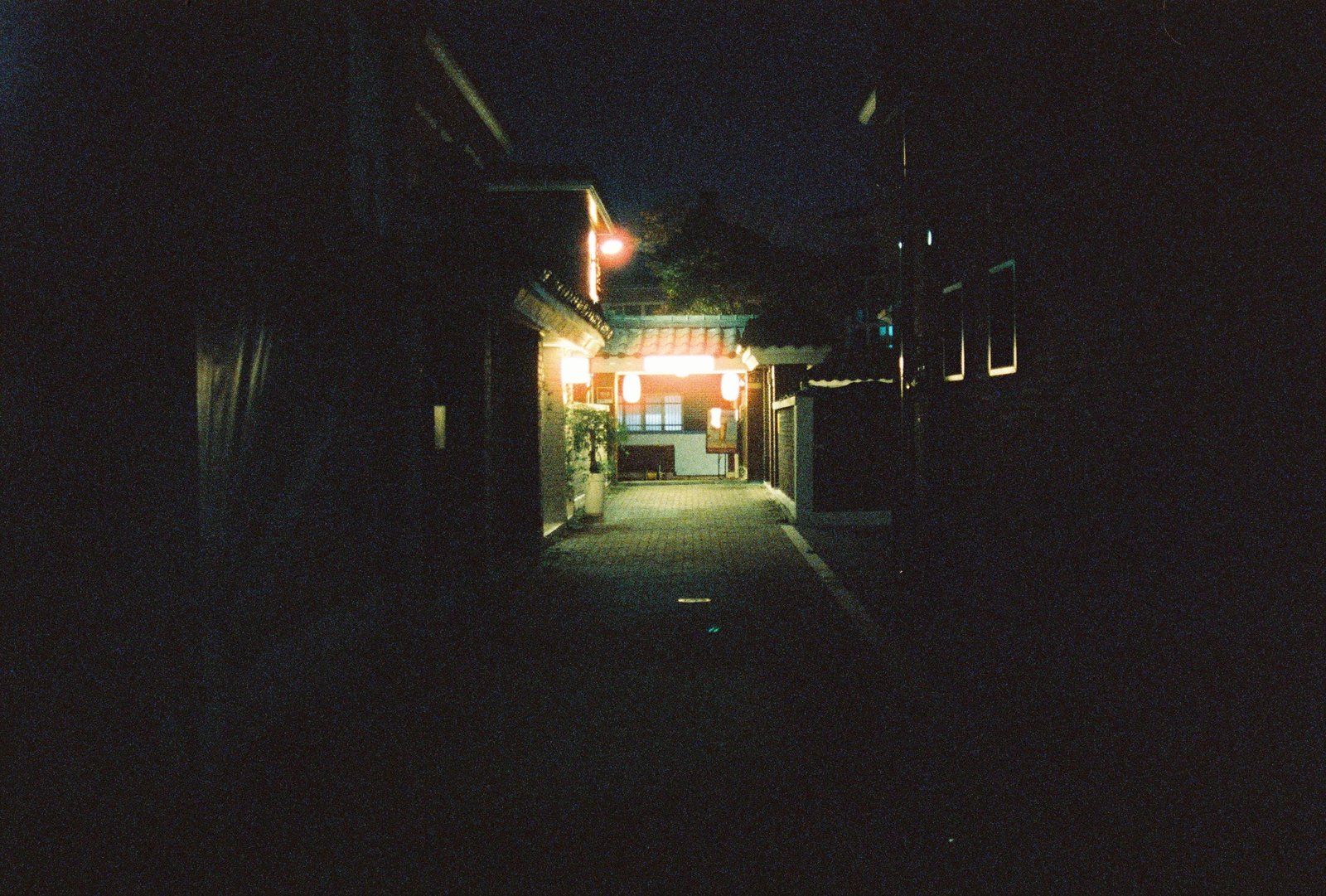 Cinestill 800T 로 찍은 사진. 촬영 장형수