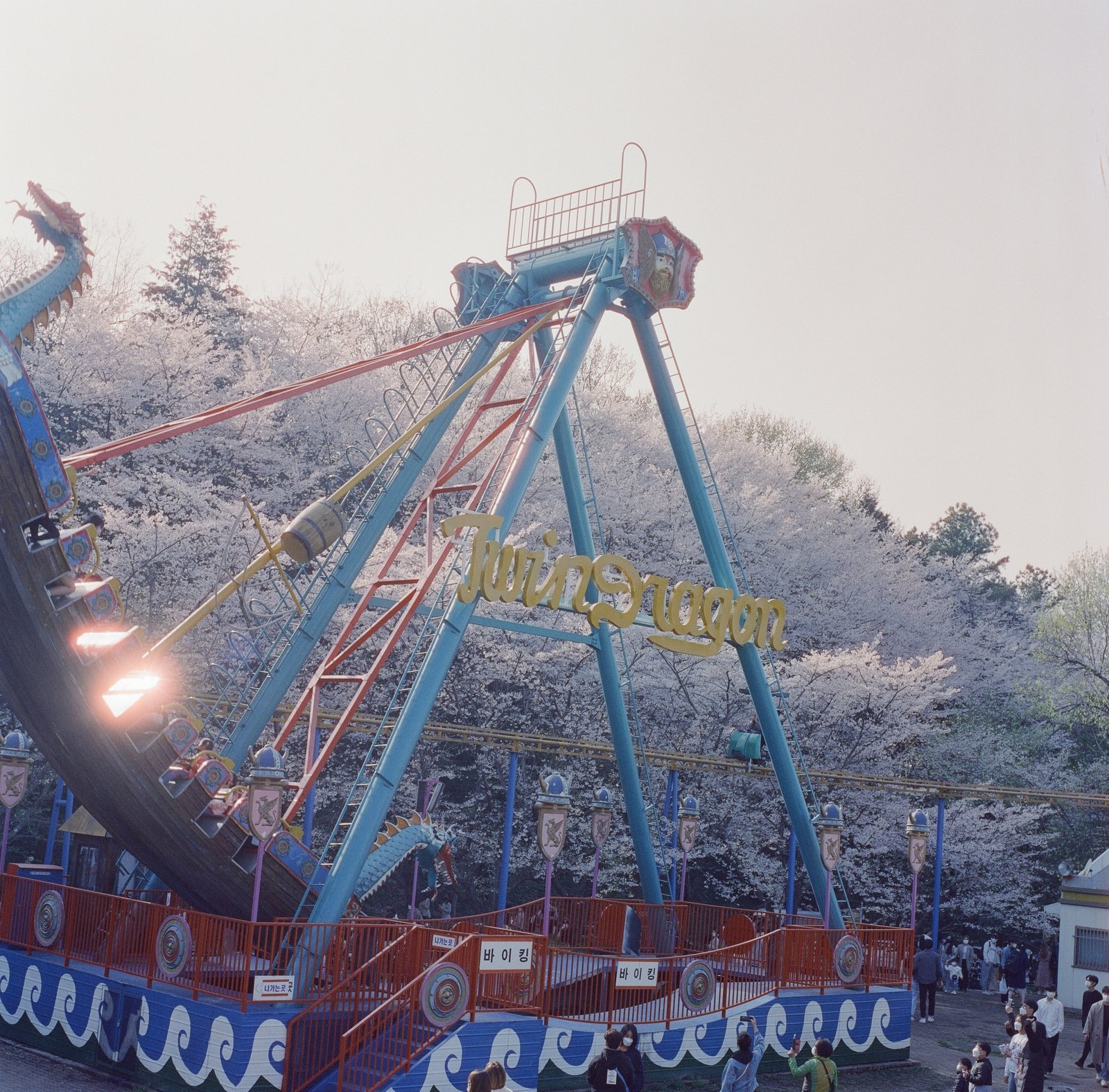 Cinestill 800T 로 찍은 사진. 촬영 박순렬