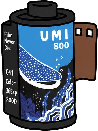 FilmNeverDie UMI 800 필름