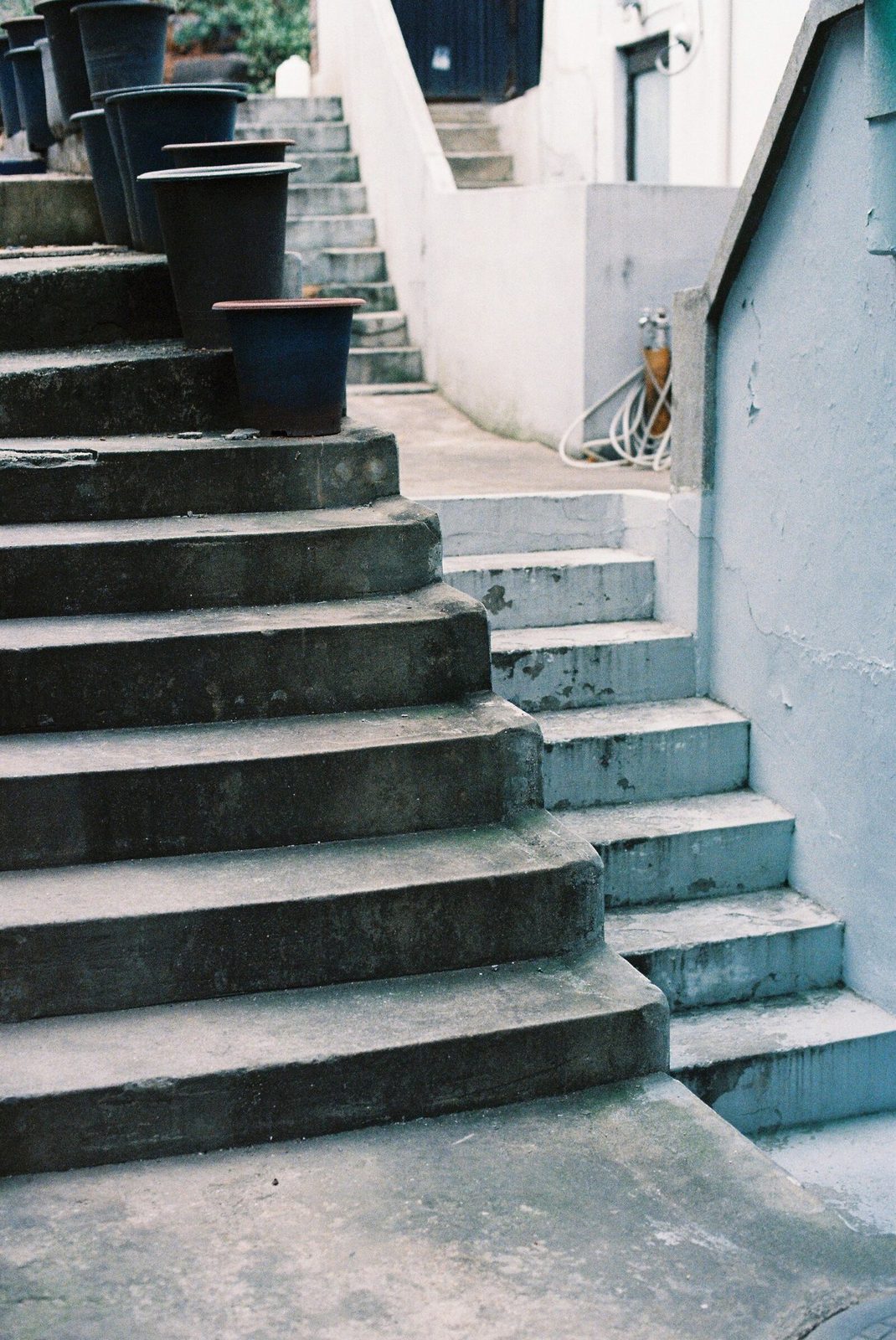Kodak UltraMax 400 로 찍은 사진. 촬영 노애경