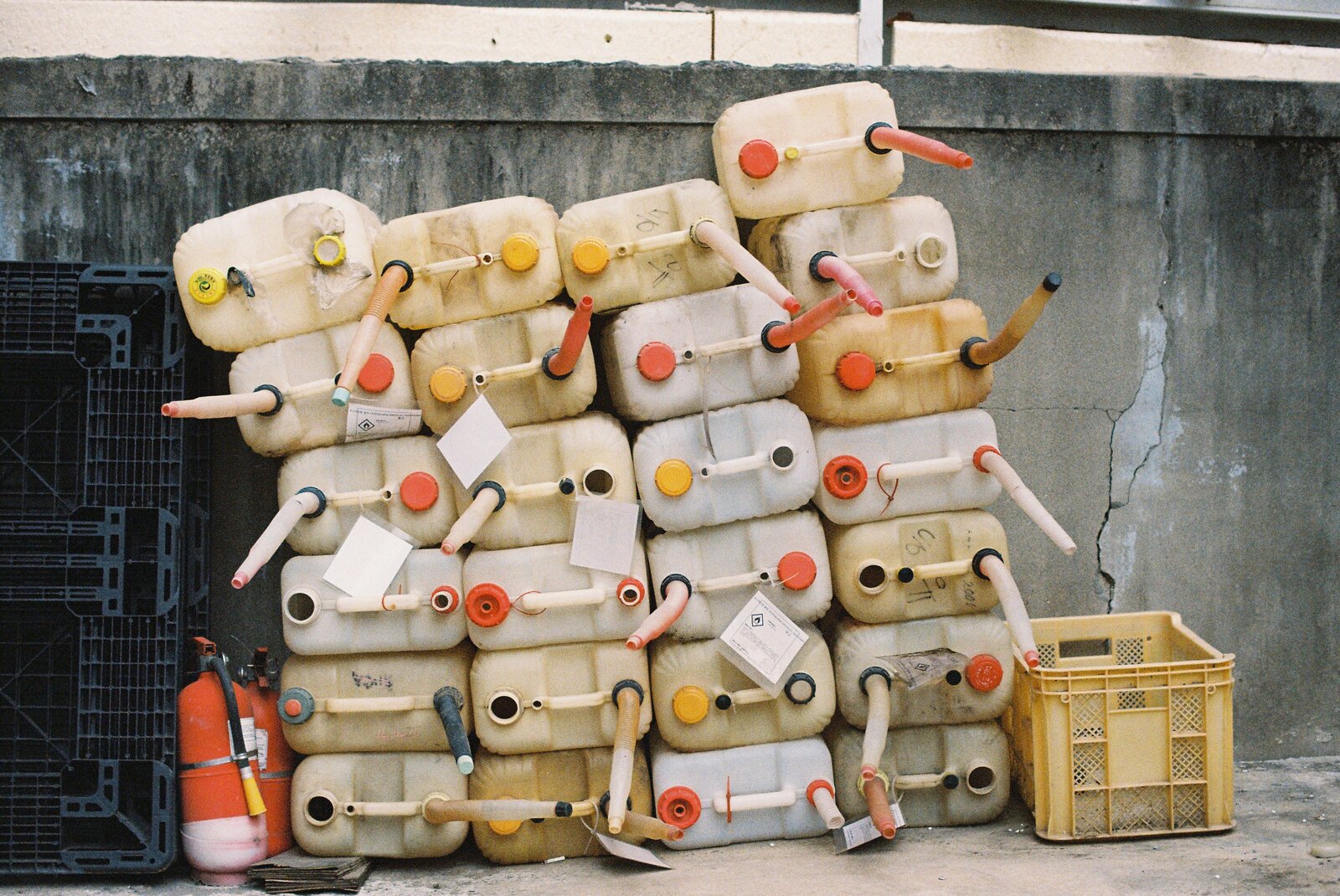 Kodak UltraMax 400 로 찍은 사진. 촬영 노애경