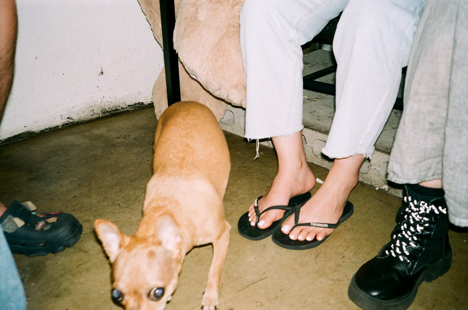 Kodak UltraMax 400 로 찍은 사진. 촬영 장형수