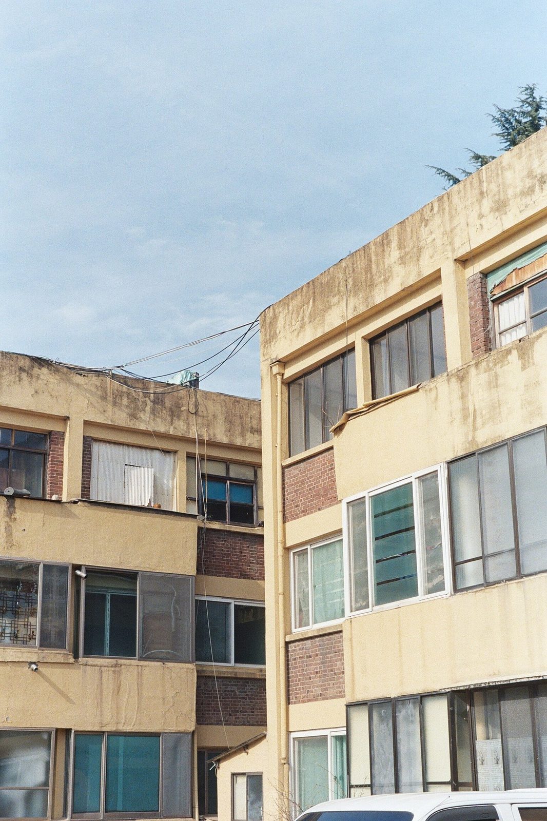 Kodak UltraMax 400 로 찍은 사진. 촬영 박순렬