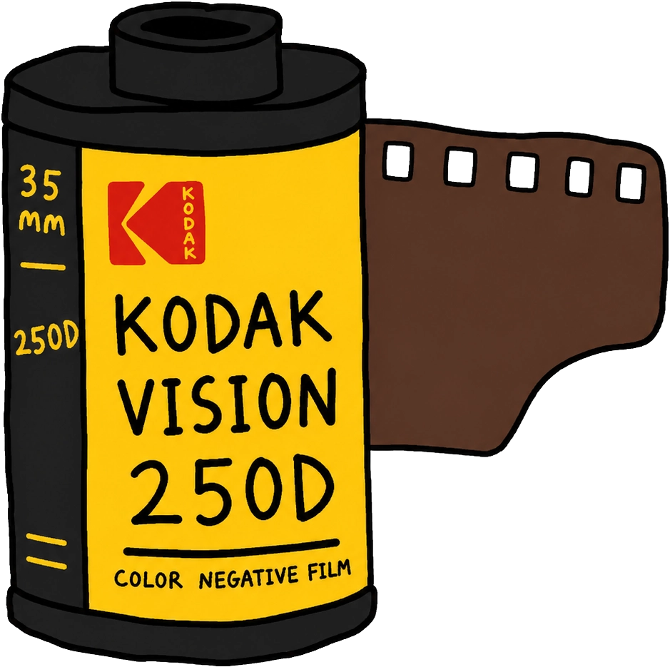 Kodak Vision3 250D 필름