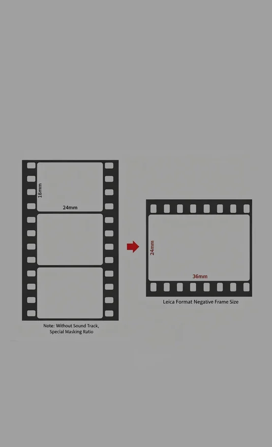 フィルムフォーマットの図解。左は縦に並んだ映画用フレーム3コマ、右は横に寝かせたライカ判1コマ