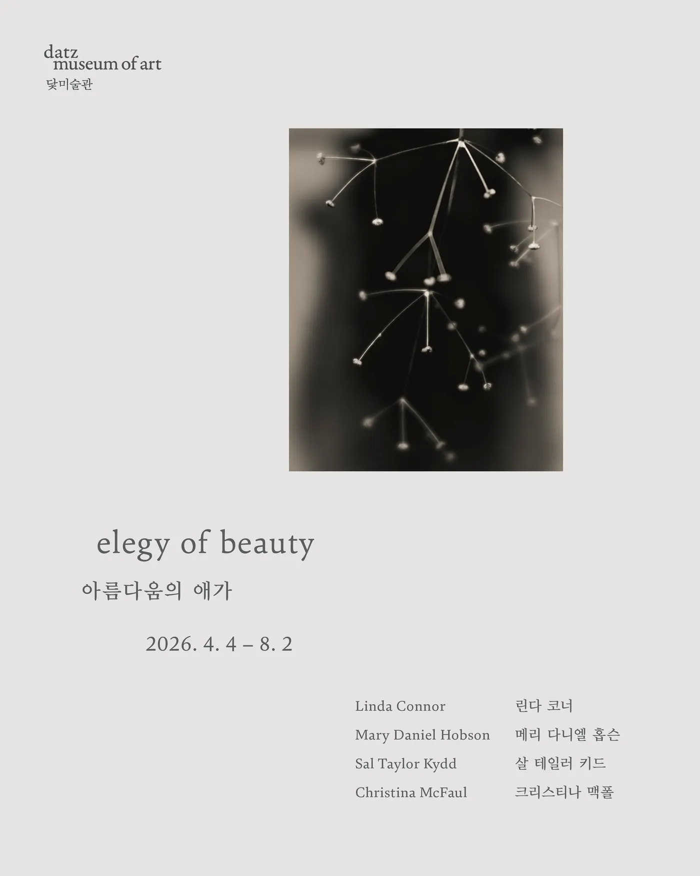 〈elegy of beauty 아름다움의 애가〉 포스터. 회색 바탕 위에 작은 별 모양 마른 꽃들이 분지처럼 퍼져 있는 흑백 사진과 미술관 로고 datz museum of art.