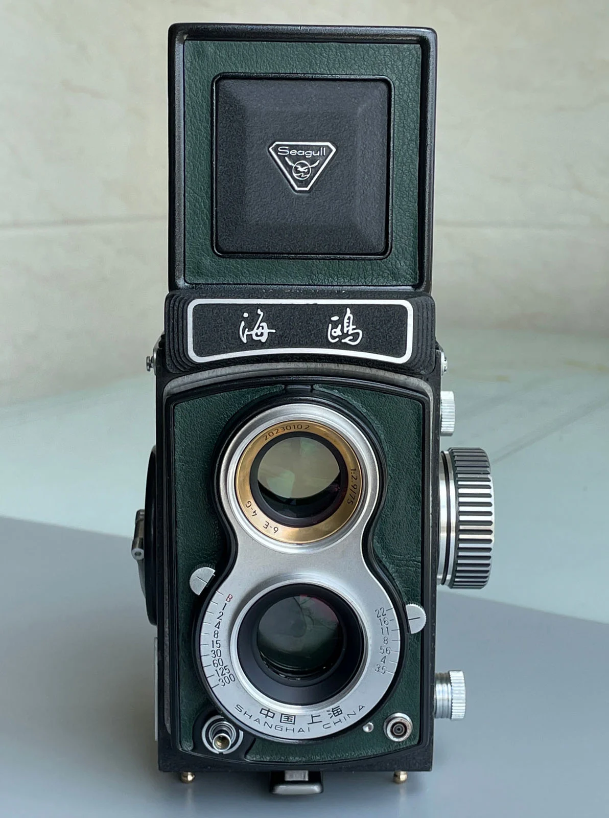 LLL Seagull TLR Upgrade Project 의 어두운 녹색 TLR 카메라. 海鸥 (Seagull) 로고와 75mm 렌즈가 보인다.