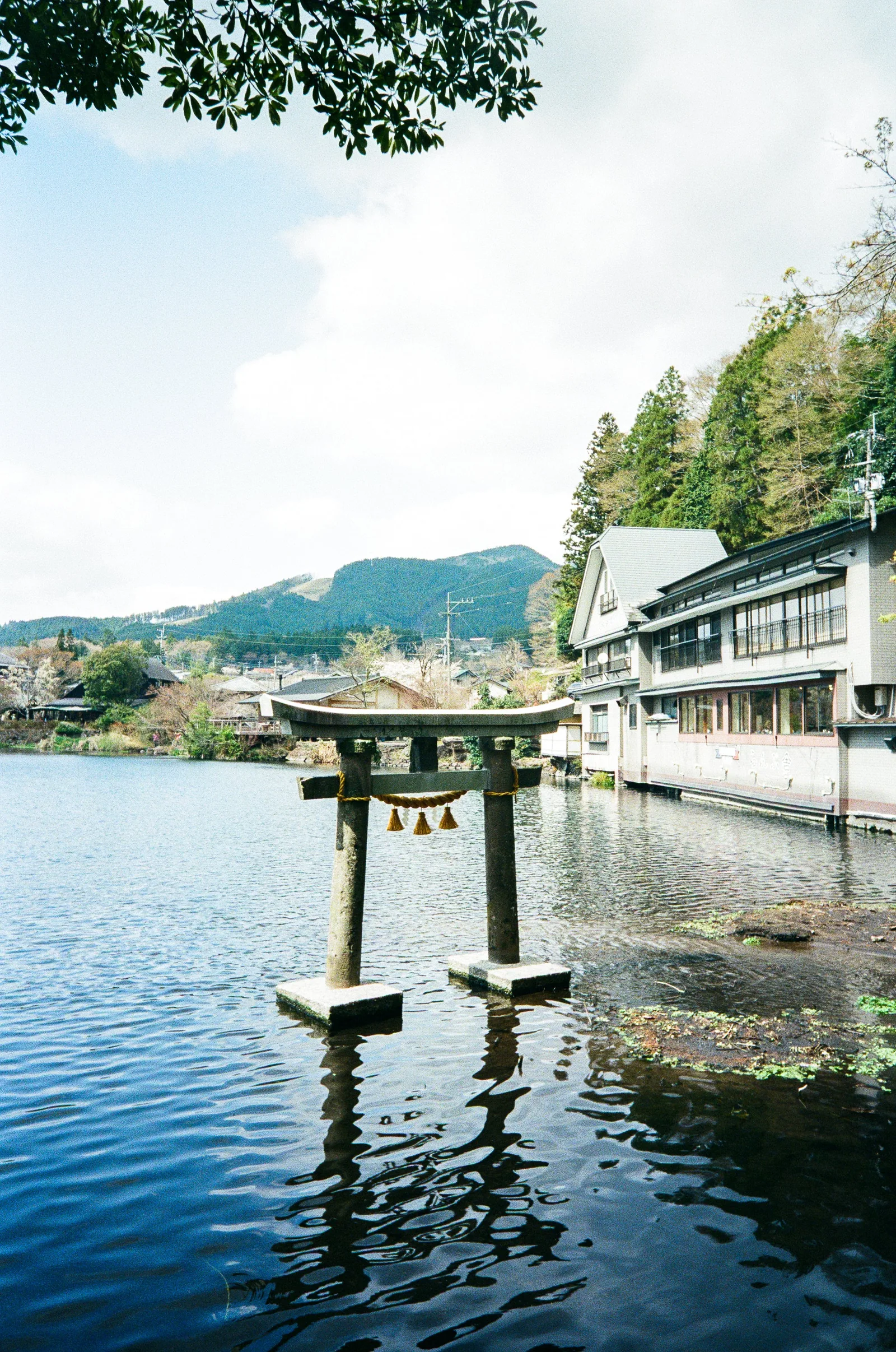 湖の中に石の鳥居が立ち、右の岸辺に建物、奥に木々の茂る山が見える。