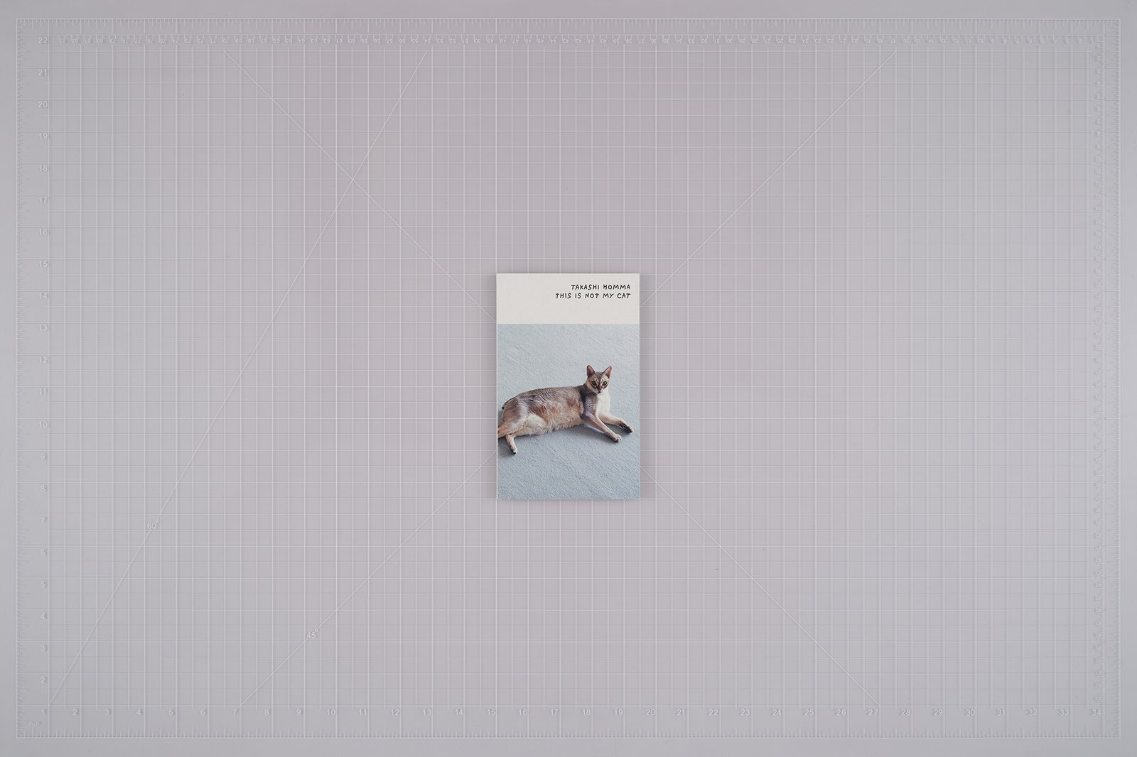グレーの背景の上に、猫の写真が入った「This Is Not My Cat」の表紙。