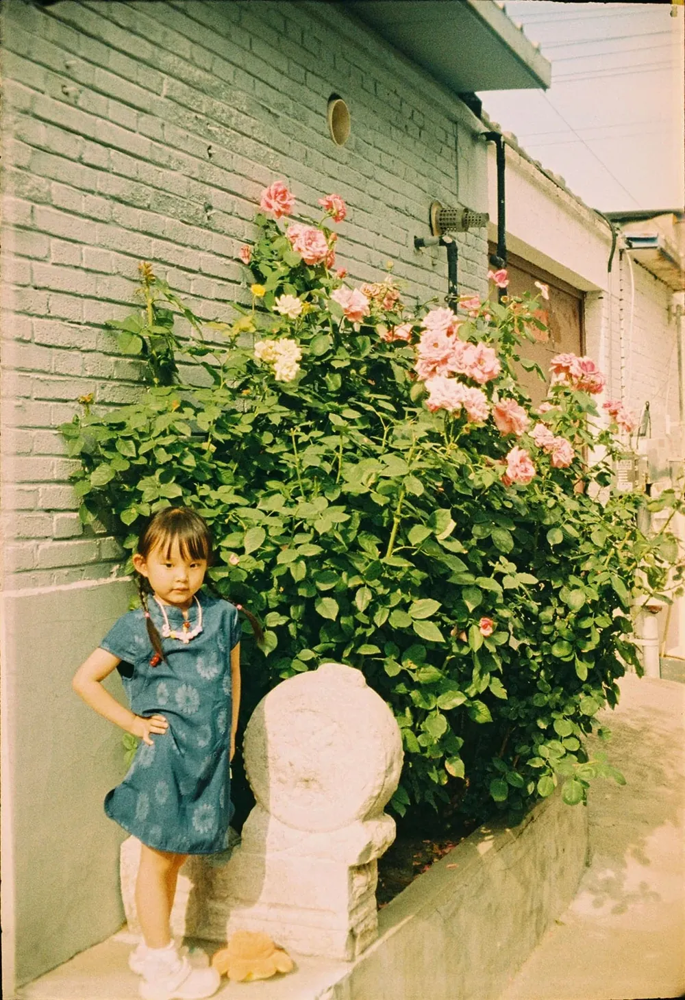 Fortuna C200 샘플 — 벽돌담 앞에 핀 분홍 장미 덤불 옆에 선 아이. 자연스러운 초록과 분홍의 데일리 컬러.