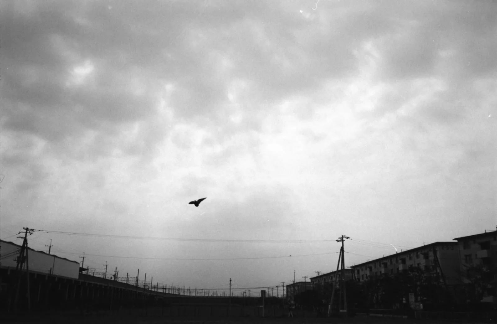線路の上を飛ぶ鳥と、雲がつくるモノクロの階調。